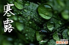2024年寒露是哪一天 2024年寒露适合拆墙吗