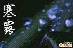 寒露是2024的几月几日 2024年寒露作梁吉利吗
