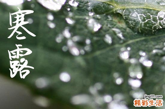 2024年寒露时间是什么时候 2024年寒露弄迁坟好不好