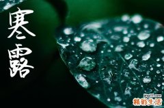 寒露是几月几号2024年 2024年寒露拆迁可以吗