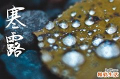 2024年寒露是具体哪一天 2024年寒露弄买车可以吗
