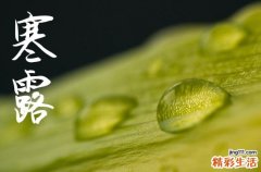 2024年寒露几月几日 2024年寒露提车吉利吗