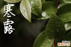 2024年寒露是具体哪一天 2024年寒露入宅可以吗
