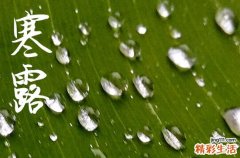 2024年寒露时间是什么时候 2024年寒露弄搬家可以吗