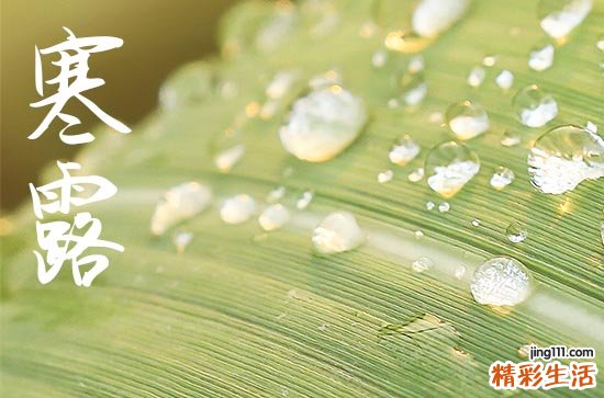 2024年寒露是多少号 2024年寒露弄搬家入宅好吗