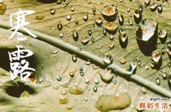 2024年寒露是多少号 2024年寒露搬迁行不行