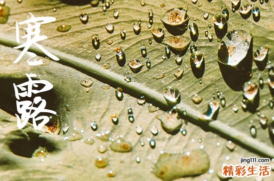 2024年寒露是多少号 2024年寒露搬迁行不行