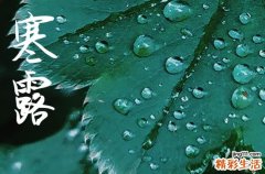 2024年寒露是几点几分几秒 2024年寒露能买车吗