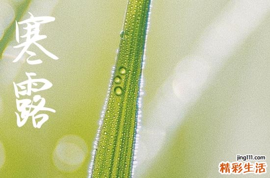 2024年寒露是幾月幾日 2024年寒露安床吉祥嗎
