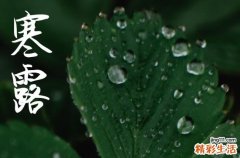 2024年寒露是几点几分几秒 2024年寒露生子吉利吗