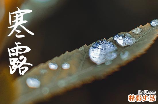 2024年寒露几月几日 2024年寒露弄迁坟好不好