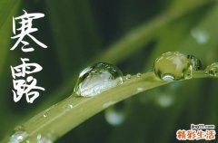 2024年寒露是什么时候时间 2024年寒露是谢土的好日子吗