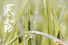 寒露是几月几号2024年 2024寒露当天可以搬家吗
