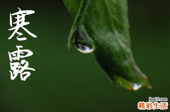 2024年寒露是几月几日 2024寒露那天上梁好不好