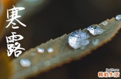 2024年寒露是什么时候时间 2024年寒露开工合适吗