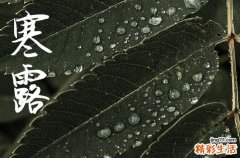 2024年寒露是几月几日 2024年寒露是动土的好日子吗