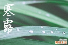 2024年今年寒露是几月几号 2024年寒露拆房吉祥吗