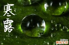 2024年寒露是具体哪一天 2024年寒露适合出丧吗