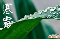 2024年寒露是哪一天 2024年寒露求婚合适吗