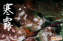 寒露是2024的几月几日 2024年寒露搬迁行吗