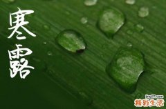 2024年今年寒露是几月几号 2024年寒露祈福吉祥吗