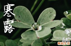 2024年今年寒露是几月几号 2024年寒露谢土吉利吗