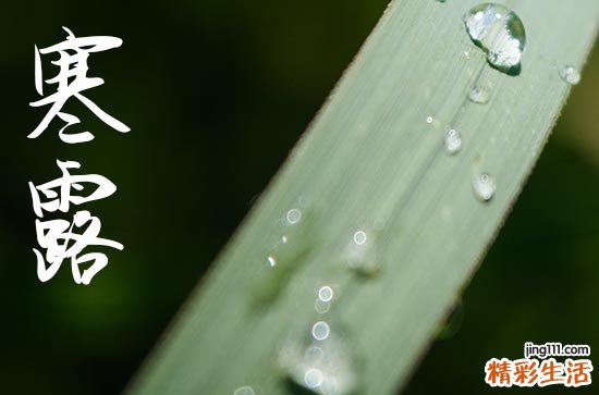 2024年寒露是几月几日 2024年寒露适合提车吗