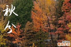 秋分是几月几号2024年 2024秋分这天可以制作猫窝吗