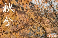 2024年秋分农历时间 2024年秋分弄厨房移位可以吗