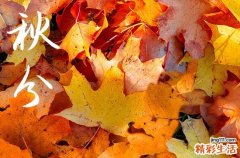 秋分2024年是几月几日星期几 2024秋分是哪一天