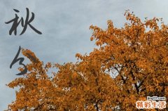 2024年秋分是几月几日 2024秋分这天可以堵蚂蚁洞吗