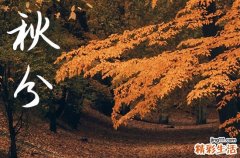 2024年今年秋分是几月几号 2024年秋分安机器吉祥吗