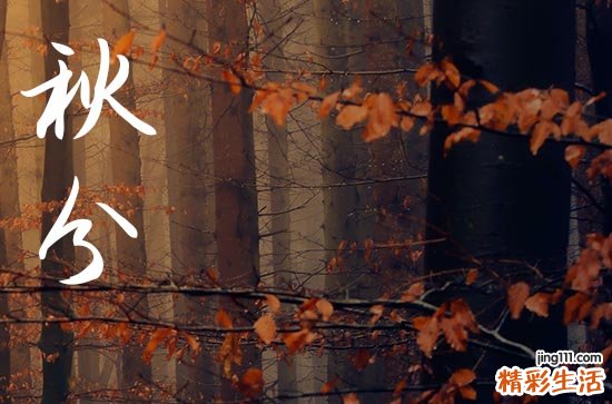 2024年秋分是几点几分几秒 2024年秋分安机械吉祥吗