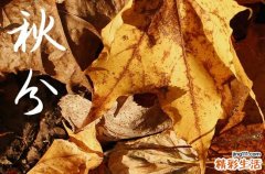 2024年农历几号秋分 2024年秋分是安装柱子吉日吗