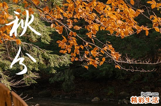 2024年秋分是星期几 今天日子好不好