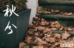 2024秋分是农历哪一天 今天日子好不好