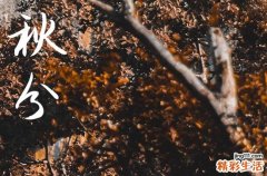 2024年农历几号秋分 2024秋分那天开学典礼好吗