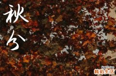 2024年秋分是哪一天 2024秋分这天宜做什么