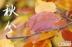 2024秋分是农历哪一天 2024年秋分适合房子修补吗