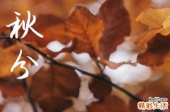 秋分是几月几号2024年 2024年秋分是归宁的好日子吗