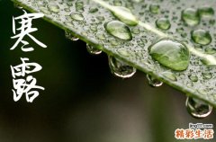 2024年寒露是什么时候 2024年寒露开仓好不好