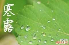 2024年农历几号寒露 2024年寒露作梁可以吗