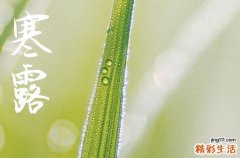 2024年寒露是多少号 2024年寒露拆房行吗