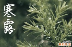 2024年寒露农历时间 2024年寒露弄装修动工适合吗