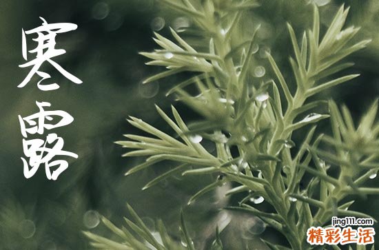 2024年寒露农历时间 2024年寒露弄装修动工适合吗