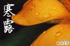 2024年寒露是几月几日 2024寒露当天可以领证吗