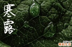 2024年寒露时间是什么时候 2024年寒露可以迁坟吗