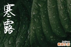 2024年今年寒露是几月几号 2024寒露嫁娶好吗
