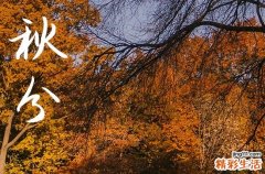 2024年什么时候秋分 2024秋分这天宜做什么