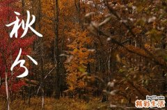 2024年秋分是多少号 2024秋分这天宜做什么